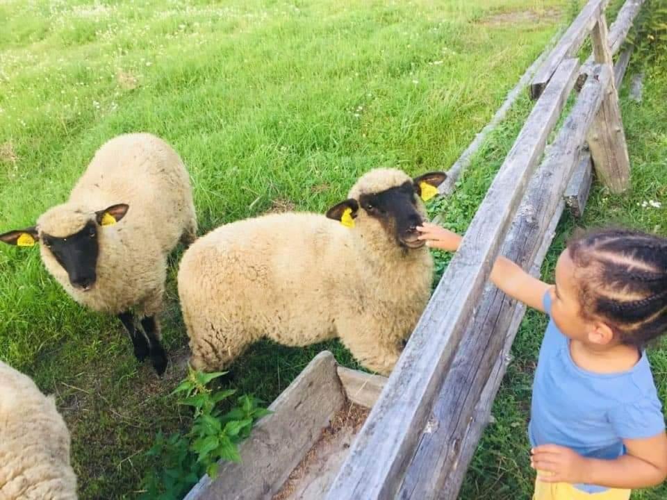 Adeles Sodyba Sturmai Eksteriør bilde