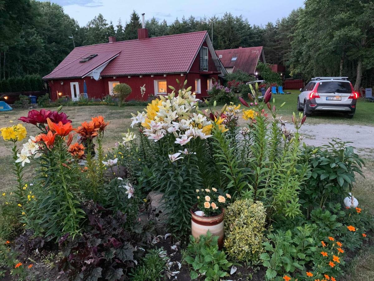Adeles Sodyba Sturmai Eksteriør bilde